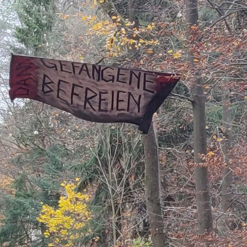 20.11.2020 Frankfurt am Main: Demo gegen Rodung des Dannenröder Waldes (Danni) und für die Freiheit der Aktivist*innen aus der U-Haft